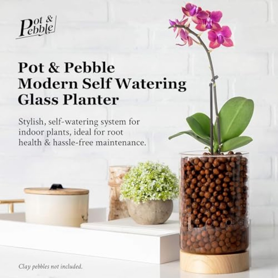 Glass Planter with Wooden Base - Clay Pebble Growing recensie en prijs