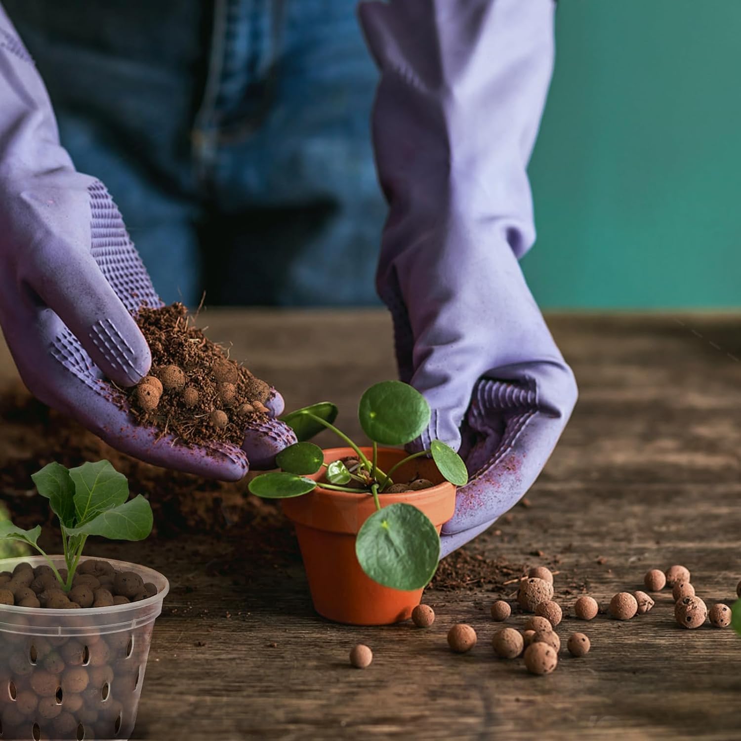 2L/1L Organic clay balls, Flow - Clay Pebble Growing recensie en prijs