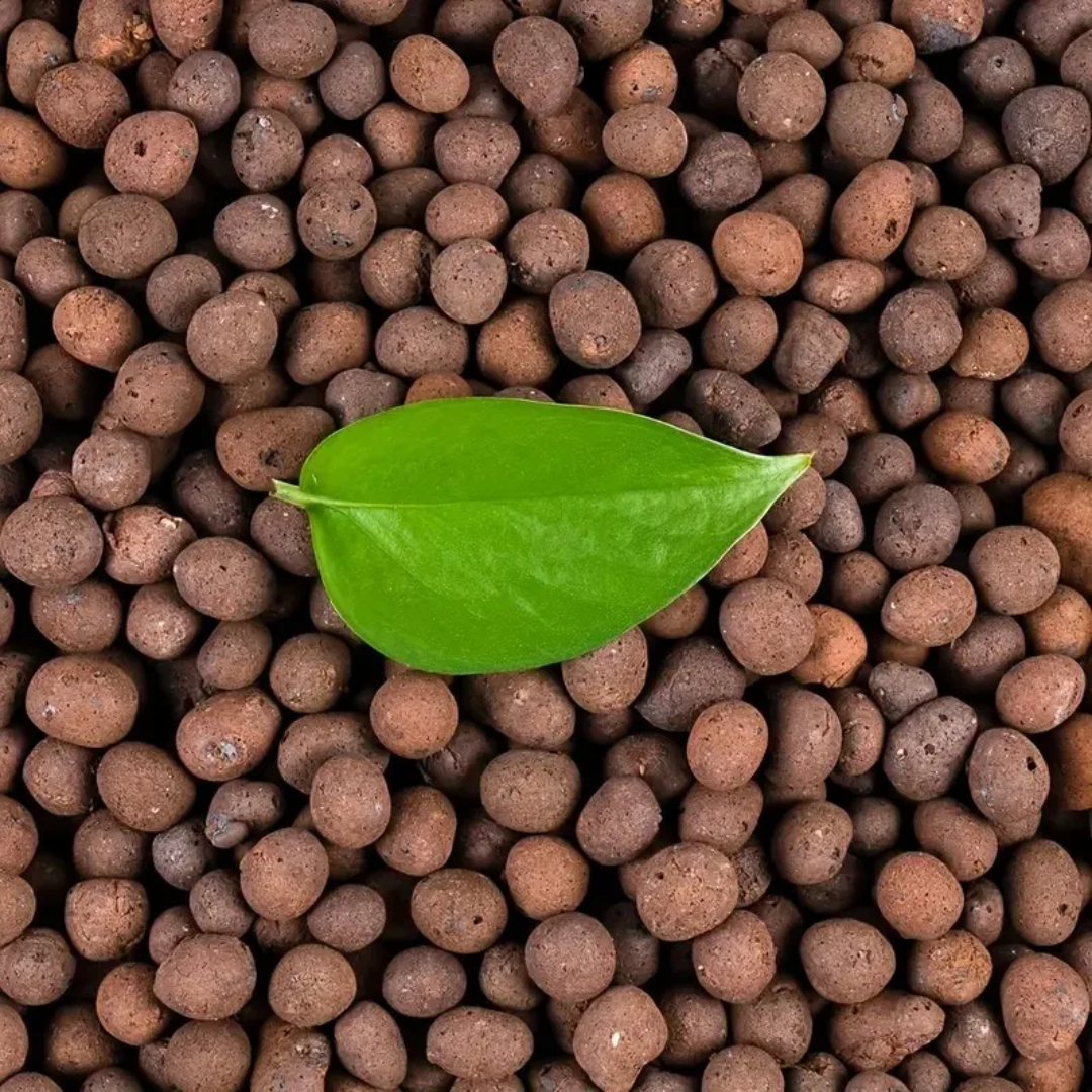 1LB Reusable Hydroponic Clay P - Clay Pebble Growing recensie en prijs